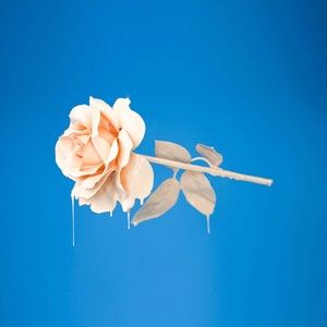 Meet your Posher, Kaiden